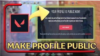 How to Make Profile Public on Valorant Tracker [upl. by Rihsab]