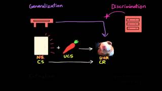 Classical Conditioning Extinction Spontaneous Recovery Generalization Discrimination [upl. by Sitelc403]