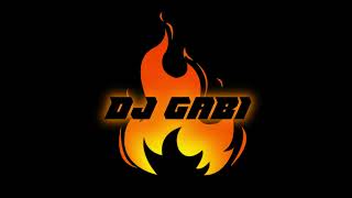 DJ GABI REMIX  DONT STOP THE MUSIC x TELEPHONE [upl. by Norraf]