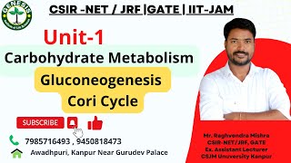 Metabolism of carbohydrates  Gluconeogenesis  Cori Cycle  L15 [upl. by Rem143]