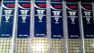 WALMART has 22lr CCI mini mags FINALLY [upl. by Arot]