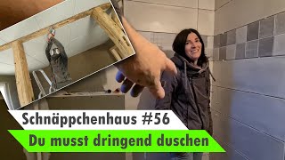 Dusche fliesen  Wandfliesen verlegen 🏡 Bauvlog 56 [upl. by Modestine329]