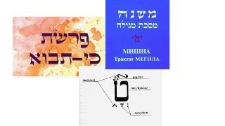 Torah Chapter Ki Tawo Mishnah Megillah Zohar about taamim [upl. by Lativa]