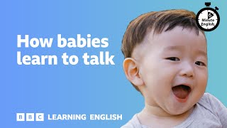 How babies learn to talk ⏲️ 6 Minute English [upl. by Jase]