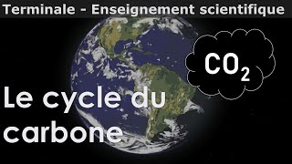 La vie et lapparition du dioxygène atmosphérique  Sciences  Terminale  Les Bons Profs [upl. by Araz]