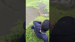 Amazing Fishing Video [upl. by Ynnot]