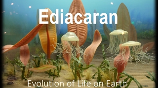 The Evolution of Life part 1  Ediacaran [upl. by Llehcal]