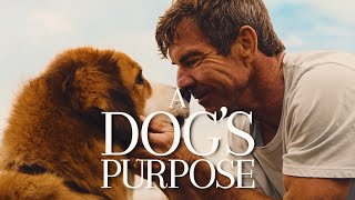 A Dogs Purpose [upl. by Reivax]