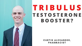 Can Tribulus Terrestris Really Boost Testosterone [upl. by Avlis592]