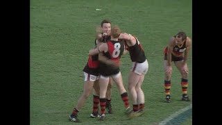 Essendon Highlights  1993 PF v Adelaide [upl. by Garvy635]