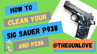 Sig Sauer P938  P238 Cleaning Tutorial [upl. by Norvil]