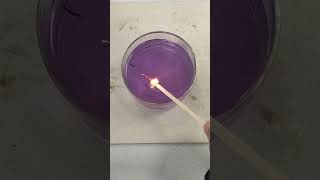 Sodium Reaction With Water experiment chemistry [upl. by Rosemary]