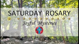 Saturday Rosary • Joyful Mysteries of the Rosary 💙 August 10 2024 VIRTUAL ROSARY  MEDITATION [upl. by Saleme]