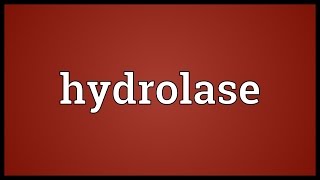 Hydrolase Meaning [upl. by Stirling619]