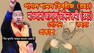 অজানা কাহিনী পাগল শামস তাবরিজ মাওলানা জালালুদ্দিন রুমি ইতিহাস  Abdur Rahman Rajvhi রেজভী ওয়াজ [upl. by Ayhdnas]