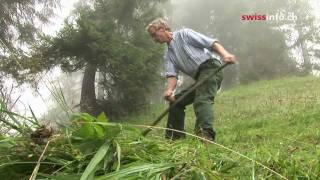 Keeping ancient hay making tradition alive [upl. by Langley]