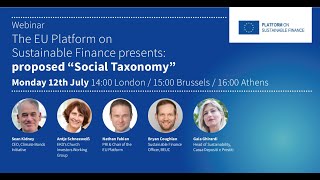 NEW TAXONOMY AREAS EU Platform presentation on proposed quotSocialquot Taxonomy [upl. by Yadseut]