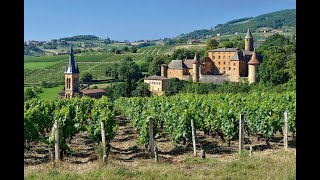 quotLes beaujolais nouveaux sont des vins gouleyants qui appellent à boirequot [upl. by Tesil825]