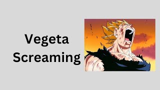 Vegeta  Screaming  Sound Effect  Dragon Ball [upl. by Logan53]