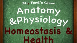 Introduction To Anatomy Physiology Homeostasis amp Health 0105 [upl. by Epilif]