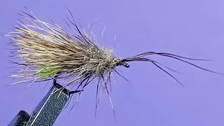 sedge da torrente [upl. by Nybor]