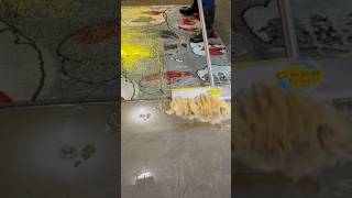 Oddly Satisfying Rug Cleaning [upl. by Summer]