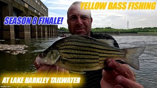 S08E80 Purposely Fishing for Yellow Bass Lake Barkley Tailwater [upl. by Stover]