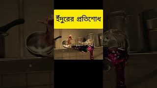 Movie Explanation bangla movie bangla dubbing youtubeshorts explainedi movie movieexplained [upl. by Ayekin855]