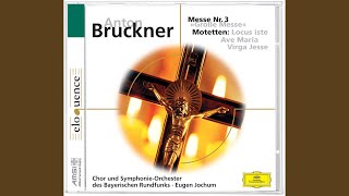 Bruckner Virga Jesse Motet  WAB 52 [upl. by Alliw]