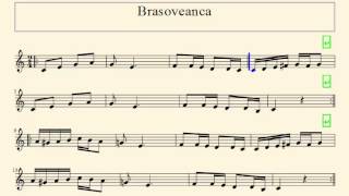 RO Partitura  Brasoveanca [upl. by Merfe]