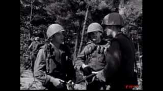 Cease Fire  1953 Korean War Film [upl. by Aynor]