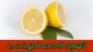 ചൊറിച്ചിൽ മാറാൻ ഒരു ഒറ്റമൂലി chorichhil maran [upl. by Aralc584]