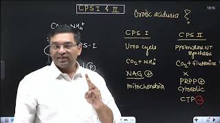 Link between Urea cycle and Pyrimidine NT synthesis  CPS 1 and 2 Orotic aciduria in Type 2 UCD [upl. by Nealey]