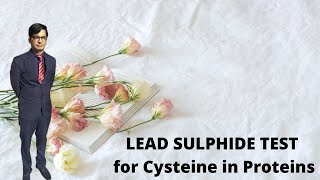 Lead Sulphide Test for cysteine residue in Protein with demo [upl. by Koerlin]