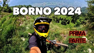 NUOVI SENTIERI A BORNO BIKEPARK 2024  prima parte [upl. by Attiuqal490]