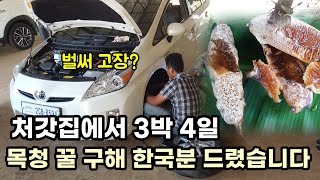 캄보디아 처갓집 3박 4일 어렵게 구한 목청꿀 한국 지인분께 선물 해드렸습니다 [upl. by Aticnemrac8]