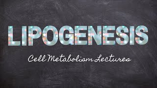 Learning Lipogenesis  Part 12 Metabolism Foundations  Nourishable Macronutrients Lecture 28 [upl. by Yardna]