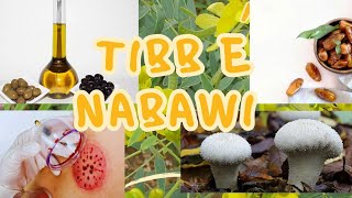 TIBB E NABAWITIBBI NUSKHE TIBB E NABAWI KI HADITHProphetic Medicines [upl. by Karwan]