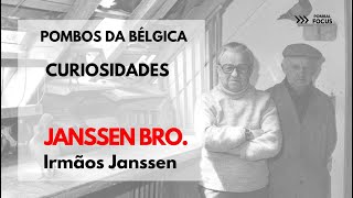 JANSSEN BROTHERS PIGEONS POMBO CORREIO  REFERÊNCIAS E CURIOSIDADES [upl. by Hcirdeirf]