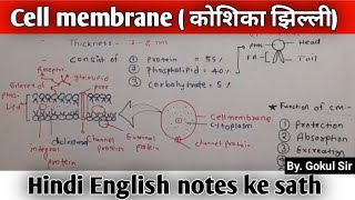 cell membrane ko plasma membrane kyon kahate hain  plasma membrane structure and function cell [upl. by Eidaj878]