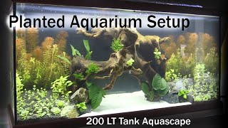 Planted Aquarium Setup  200 LT Tank Aquascape [upl. by Waterer]