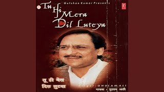 TU HI MERA DIL LUTEYA [upl. by Anirtal]