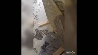 Polishing a bullnose for a finer finish bullnose porcelain garden homeimprovement [upl. by Rehptosirhc]