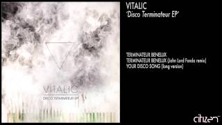 Vitalic  Terminateur Benelux [upl. by Ursuline554]