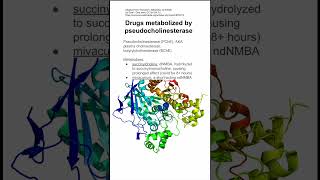 Drugs metabolized by pseudocholinesterase [upl. by Lenej]