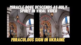 MIRACLE DOVE DESCENDS AS HOLY SPIRIT IN POWERFUL SIGN FROM HEAVEN  MIRACLE VIDEO GOES VIRAL [upl. by Asnarepse]