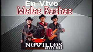 Malas Rachas  Los Novillos De La Sierra En Vivo [upl. by Noiroc804]