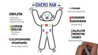 Side effects of cancer drugs  chemotherapy chemotherapeutic drugs side effects  Chemo man [upl. by Vannie]