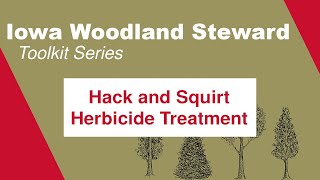 Hack and Squirt Herbicide Treatment Iowa Woodland Steward Toolkit Series [upl. by Stan]