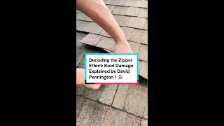 Decoding the Zipper Effect Roof Shingle Damage Explained by David Pennington  Leak Busters Roofing [upl. by Dorin352]